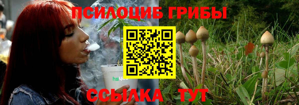 Люберцы  Галлюциногенные грибы Psilocybe  Вход с VPN 
